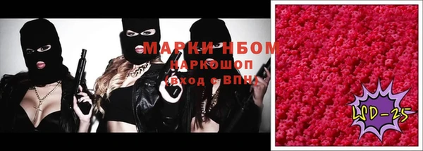 хмурый Инсар