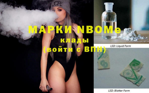 хмурый Инсар