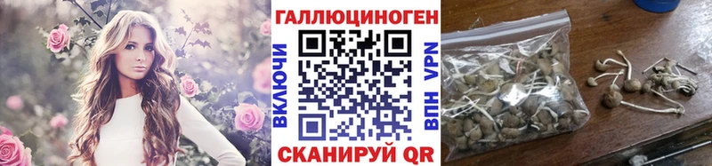 mega ТОР  купить   Коломна  Галлюциногенные грибы Cubensis 